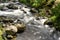 Wild river in the montains of Costa Rica