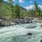 Wild river in the mountains of Siberia. A stormy stream, a fallen tree, summer