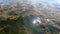 Wild river weeds plants sway in water