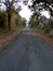 Wild road of Gadchiroli