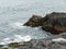 Wild rock beside of water. Ocean waves & Cliffs