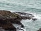 Wild rocks and sea water, landscape, rock formation beside body of water. Ocean waves, Cliffs