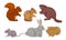 Wild Rodent Animals Set, Squirrel, Mouse, Beaver, Cavy, Rabbit, Chipmunk Vector Illustration