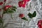 Wild Roses Cut Flowers Aesthetic. Old Country Cotton Blanket. Bed of Roses. Rustic Floral Art Floristry in Antique Farmhouse.