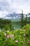 Wild roses and lake in Jasper National Park