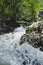 The wild rushing creek in the forest