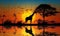 wild safari sunset animal wildlife elephant silhouette africa giraffe nature. Generative AI.