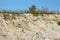 Wild sandy beach with grass