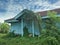 Wild scene of the overgrowth at the old abandoned government quarter