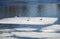 Wild seagulls sit on an ice floes floating in cold blue water in bright sunny day horizontal view