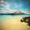 Wild seashore in Fuerteventura, tinted image