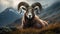 The Wild Sheep with Magnificent Horns