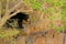 Wild sloth bear, Melursus ursinus, Ranthambore National Ppark, India. Sloth bear staring directly at camera, wildlife photo. Dange