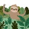 Wild sloth in the jungle scene