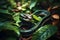 Wild Snake on Green Leaves, allure of wildlife