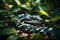 Wild Snake on Green Leaves, allure of wildlife