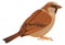Wild sparrow icon. Forest bird. Nature symbol