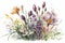 Wild spring flowers including crocus, meadow saffron. Watercolor illustration.