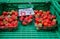 Wild strawberries for sale at local street market. Lausanne. Switzerland. (Fraises des bois mean - Wild strawberries)