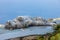 Wild stray Cat lying on a wall, Folegandros, Cyclades, Greece