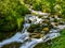 A wild stream in the forests in the Swiss Alps