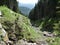 Wild stream in the mountains of south tyrol italy europe