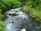 Wild stream and mountains in wild deep nature in Czech Republic country