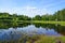 Wild swimming pool, small lake - beautiful spring day- green space around the city