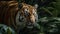 Wild Symphony: An Ultra-Realistic and Detailed Portrayal of a Lion, Nature\\\'s Magnificent Maestro in Exquisite Detail - AI Generat