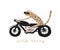 Wild Thing. Cute Vector Illustration with Cool Tiger Riding a Motorcycle.