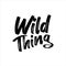 Wild thing- paint brus text.