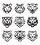 Wild Tiger Heads and Logo Icon. Vector Illustration