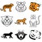 Wild tiger icons