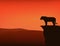 Wild tiger standing at sunset cliff vector silhouette lanscape