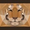 Wild tiger stares forward. Nature and animals life theme background. Abstract geometric polygonal triangle illustration