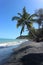 Wild Tropical Beach in Brazil