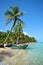 Wild tropical beach with coconut trees and other vegetation, white sand beach with boat, Caribbean Sea
