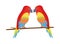 Wild tropical parrots birds nature icon