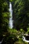 Wild tropical rainforest and beautiful high powerful waterfall with lush green foliage, moss, palm trees, shining water drops.