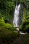 Wild tropical rainforest and pure high powerful waterfall with lush green foliage, moss, palm trees, shining water drops.