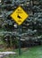 Wild Turkey Crossing Sign Outdoors