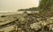 Wild untouched dirty beach scene with many drift wood on the shore because of high waves. Haze and grey sky in Bengkulu