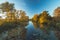 Wild and untouched nature on the edge of Amsterdam with a lake during sunset. A place to calm down and find energy