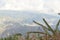 Wild vegetation and mountainous Andean scenery in Santander, Colombia