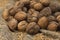 Wild walnuts