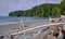 Wild West Coast Beach - Juan de Fuca Provincial Park, BC