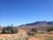 Wild west. desert landscape with cactus