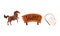 Wild West Symbols Set, Wooden Western Saloon Sign Board, Horse, Leather Whip Cartoon Vector Illustration