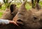 Wild White Rhino meets a human in Eswatini Swaziland Africa