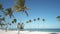 Wild white sand beach and flying birds past palm trees